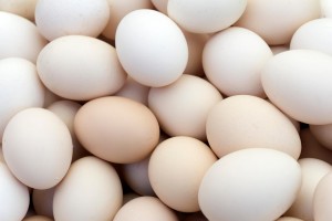 egg