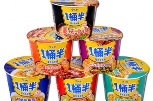 今麥郎食品招商加盟